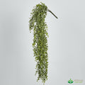 Hanging Eucalyptus Plant 80cm image 0