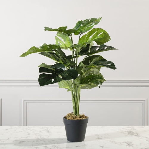 Artificial Monstera Plant 60cm image 0