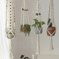 Hanging Macrame Plant Holder image 0