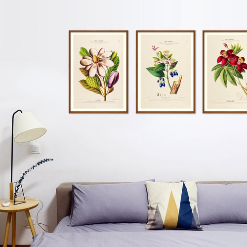 Botanical Print Set of 3 (30x40cm each) image 0
