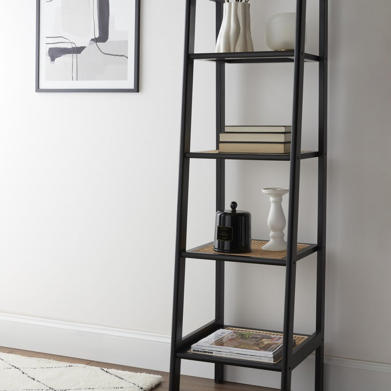 Ladder Shelf Unit 170cm (Black) image 0