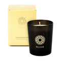 Three Wick Luxury Candle 400g (Oud & Bergamot) image 0