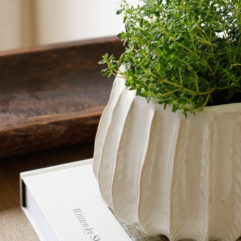 Ceramic Plant Pot 18cm (White Ribbed) image 0